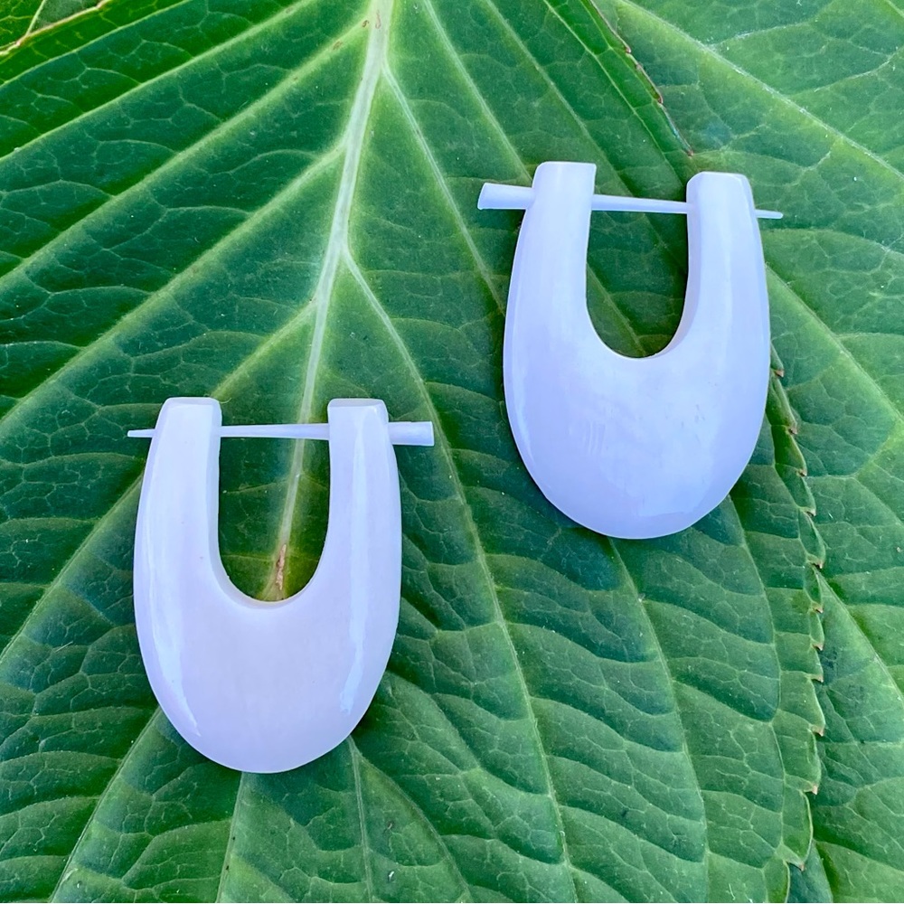 🌈 3/$20 Organic Horseshoe Shaped Buffalo Bone Earrings